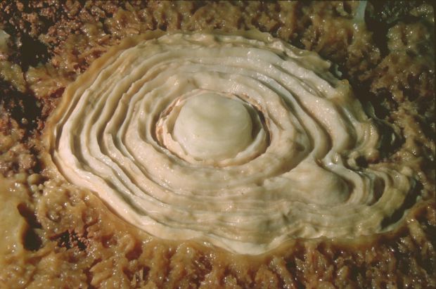 Kartchner Caverns